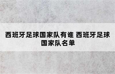 西班牙足球国家队有谁 西班牙足球国家队名单